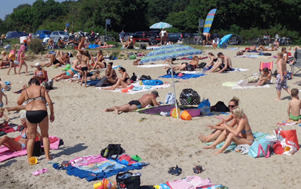 Download Strand kokken gardiner HD