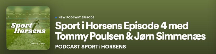 sportihorsens4.jpg
