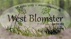 West Blomster