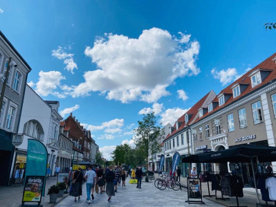 Dagspressens lokale vagthund