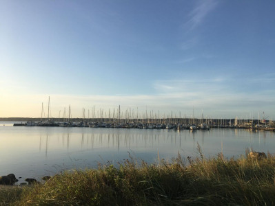 GULD PÅ HORSENS FJORD