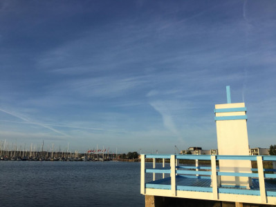 GULD PÅ HORSENS FJORD