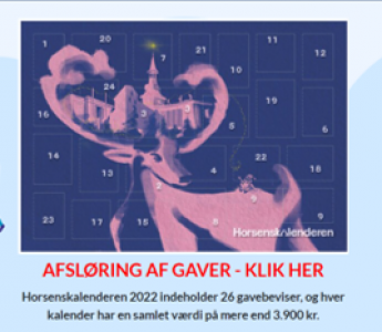 Værdi til 3.900 kr. for 250 kr.!