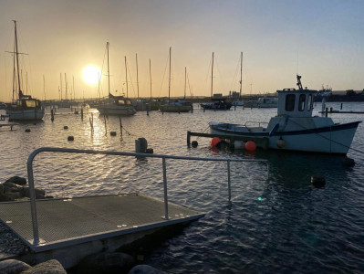Horsens Havn svømmede søndag morgen