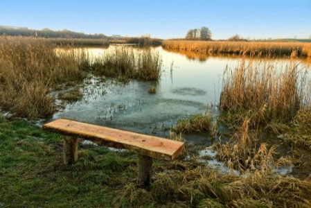 Dagspressens lokale vagthund