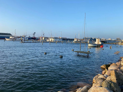 Horsens Havn svømmede søndag morgen