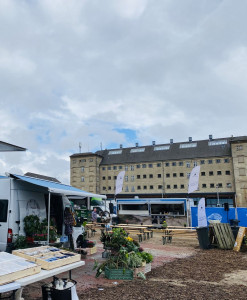 Street Food Festival NU