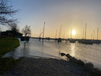 Horsens Havn svømmede søndag morgen