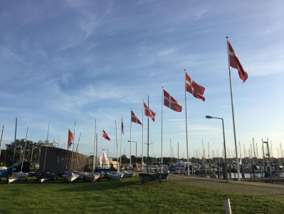 GULD PÅ HORSENS FJORD