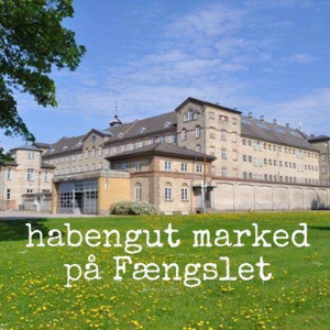 Kæmpe Habengut marked på FÆNGSLET