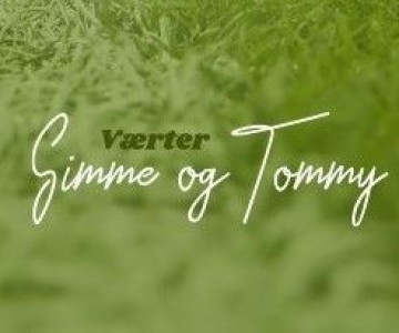 Hvem rykker ud af Superligaen?