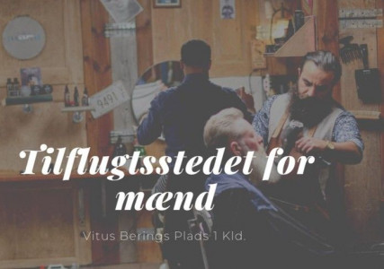 The Dashtis - since 2010