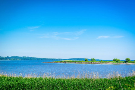 Dagspressens lokale vagthund