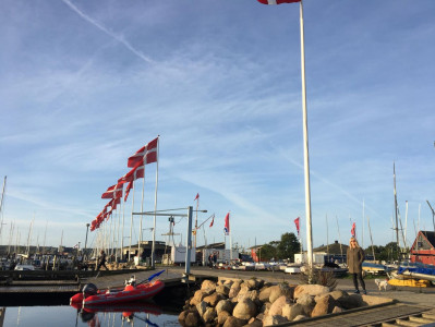 GULD PÅ HORSENS FJORD