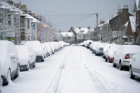 Græs vs vinter!