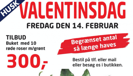 Når kun det bedste er godt nok!