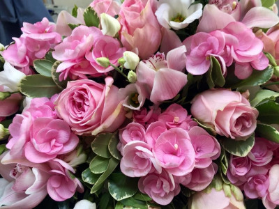HUGO bringer tøj og blomster ud GRATIS 