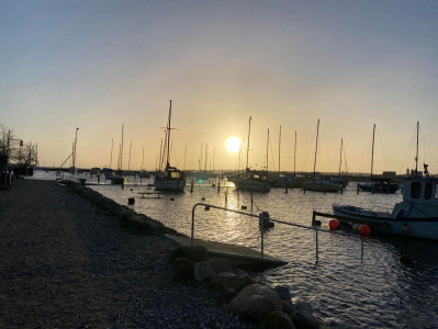 Horsens Havn svømmede søndag morgen