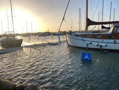 Horsens Havn svømmede søndag morgen