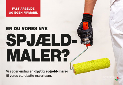Rosenberg søger maler